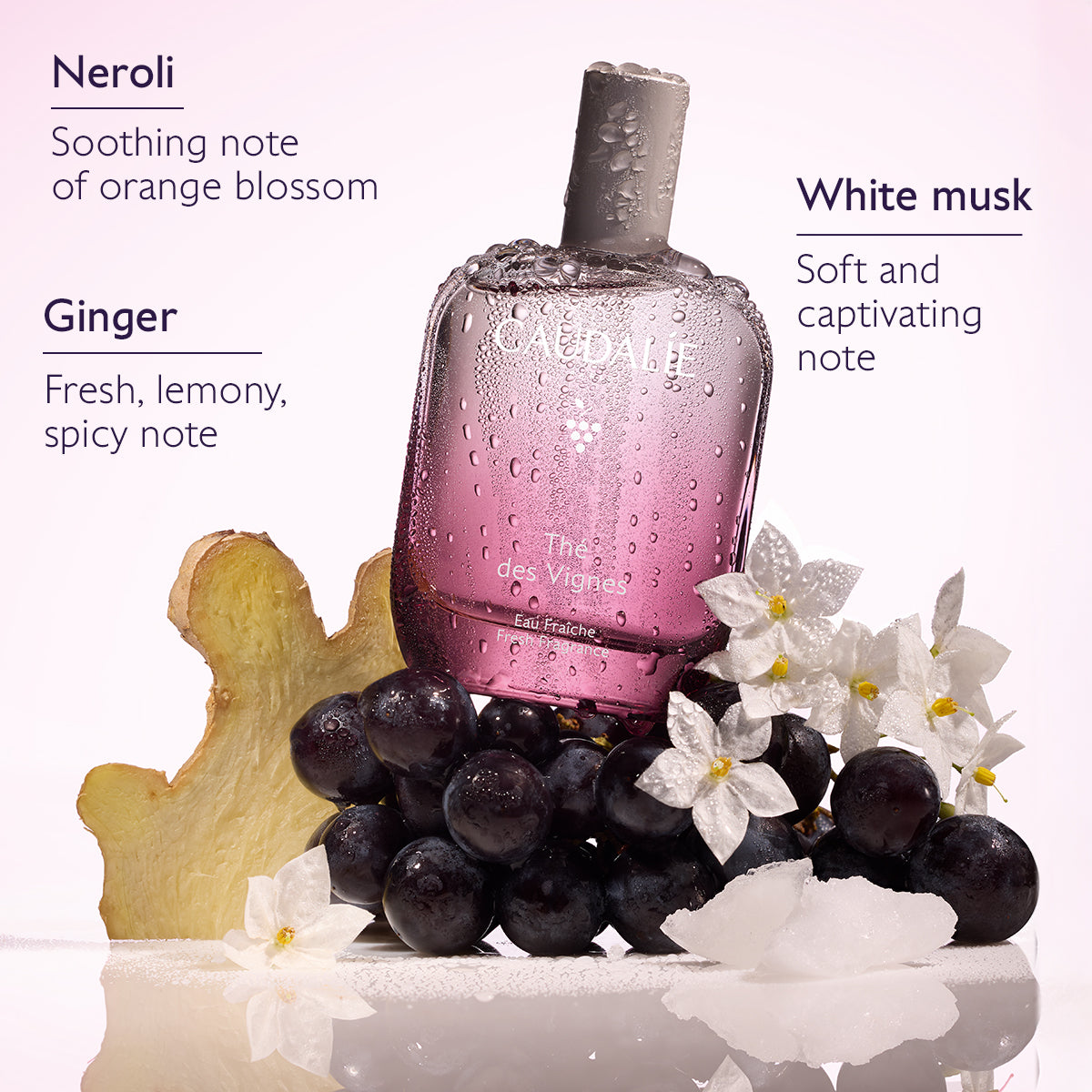 Caudalie Thé des Vignes Fresh Fragrance 50ml
