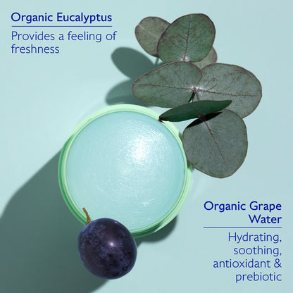 Caudalie Vinofresh Natural Stick Deodorant