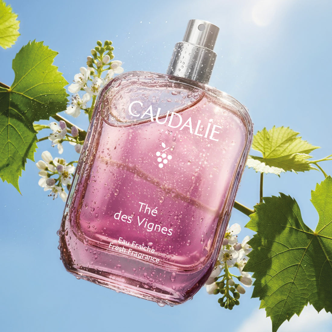 Caudalie Thé des Vignes Fresh Fragrance 50ml