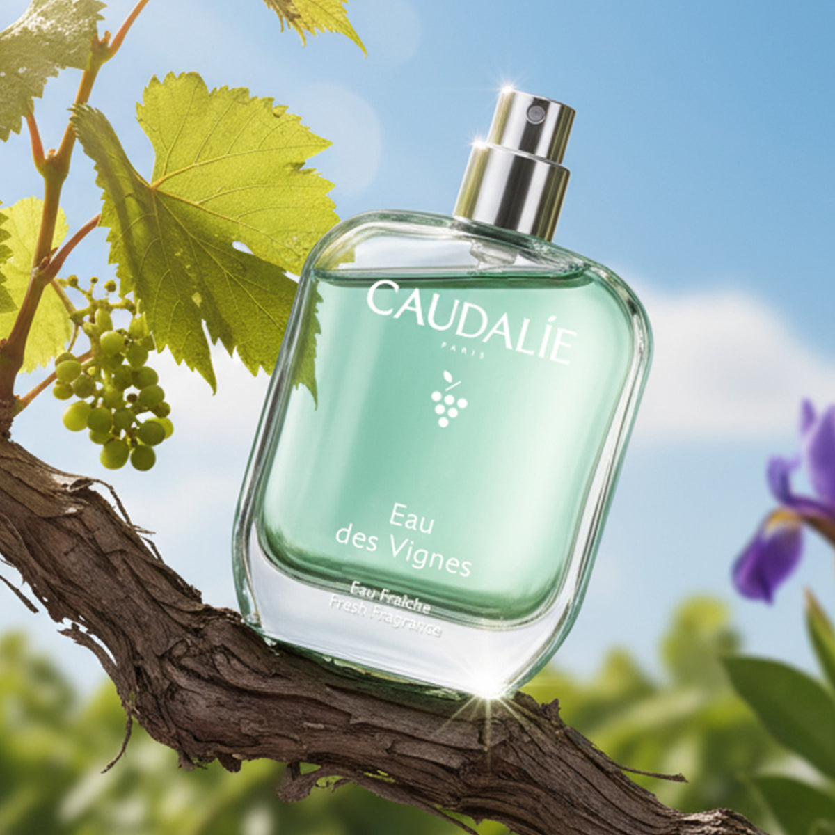 Caudalie Eau des Vignes Eau Fraîche Fresh Fragrance 50ml