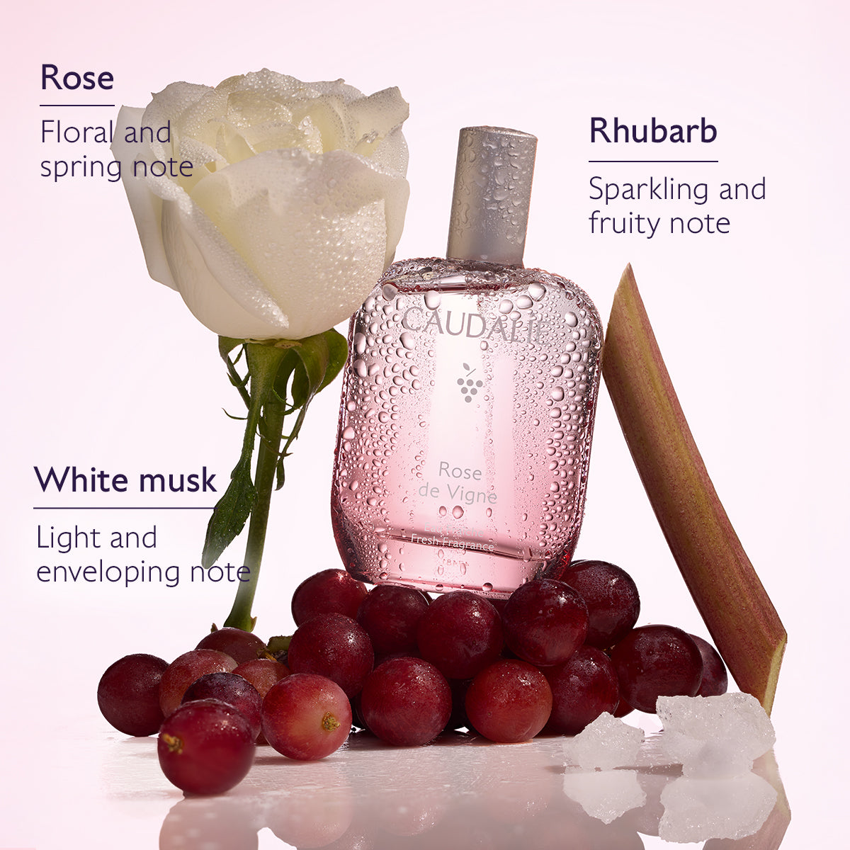 Caudalie Ange des Vignes Eau de Parfum 50ml