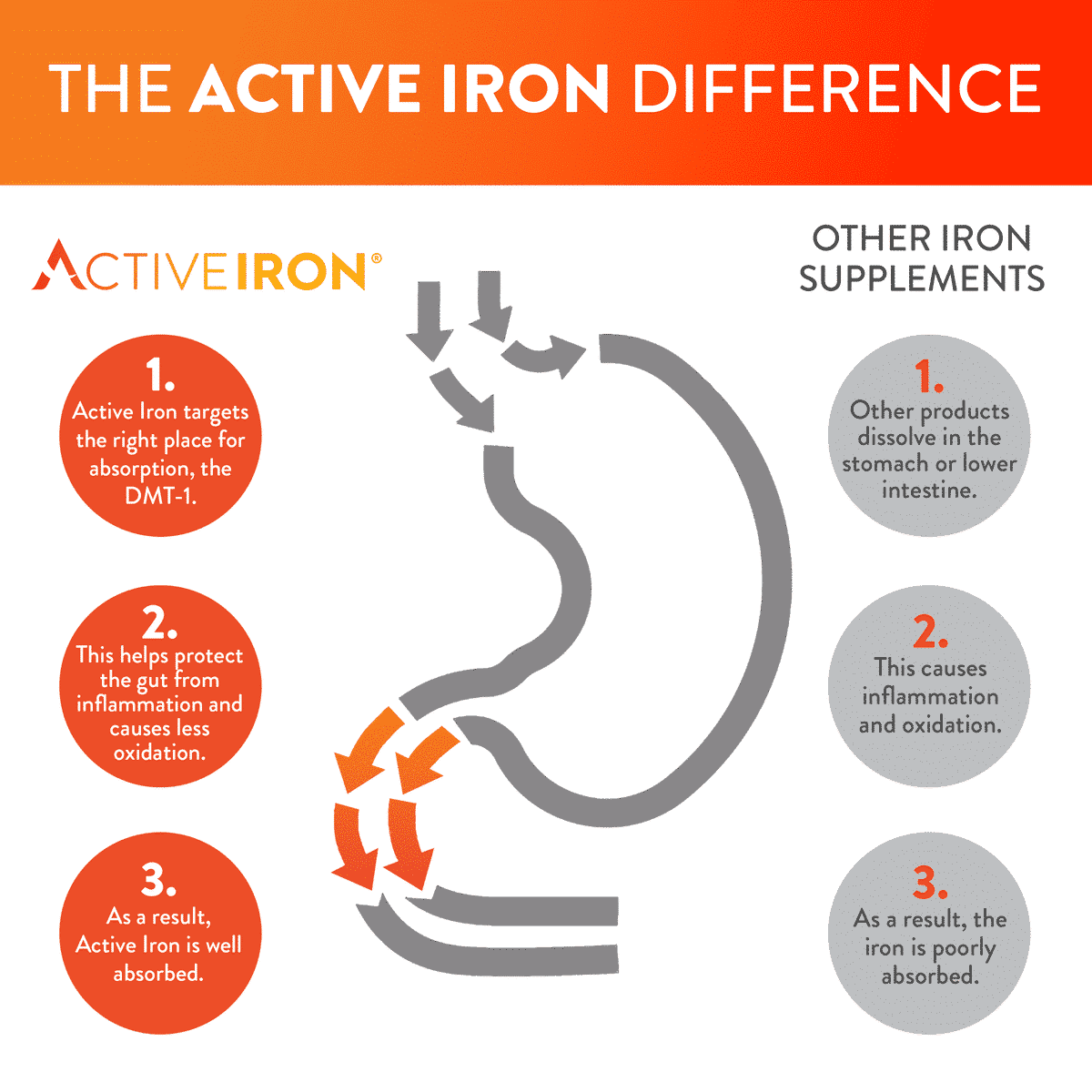 Active Iron Advance