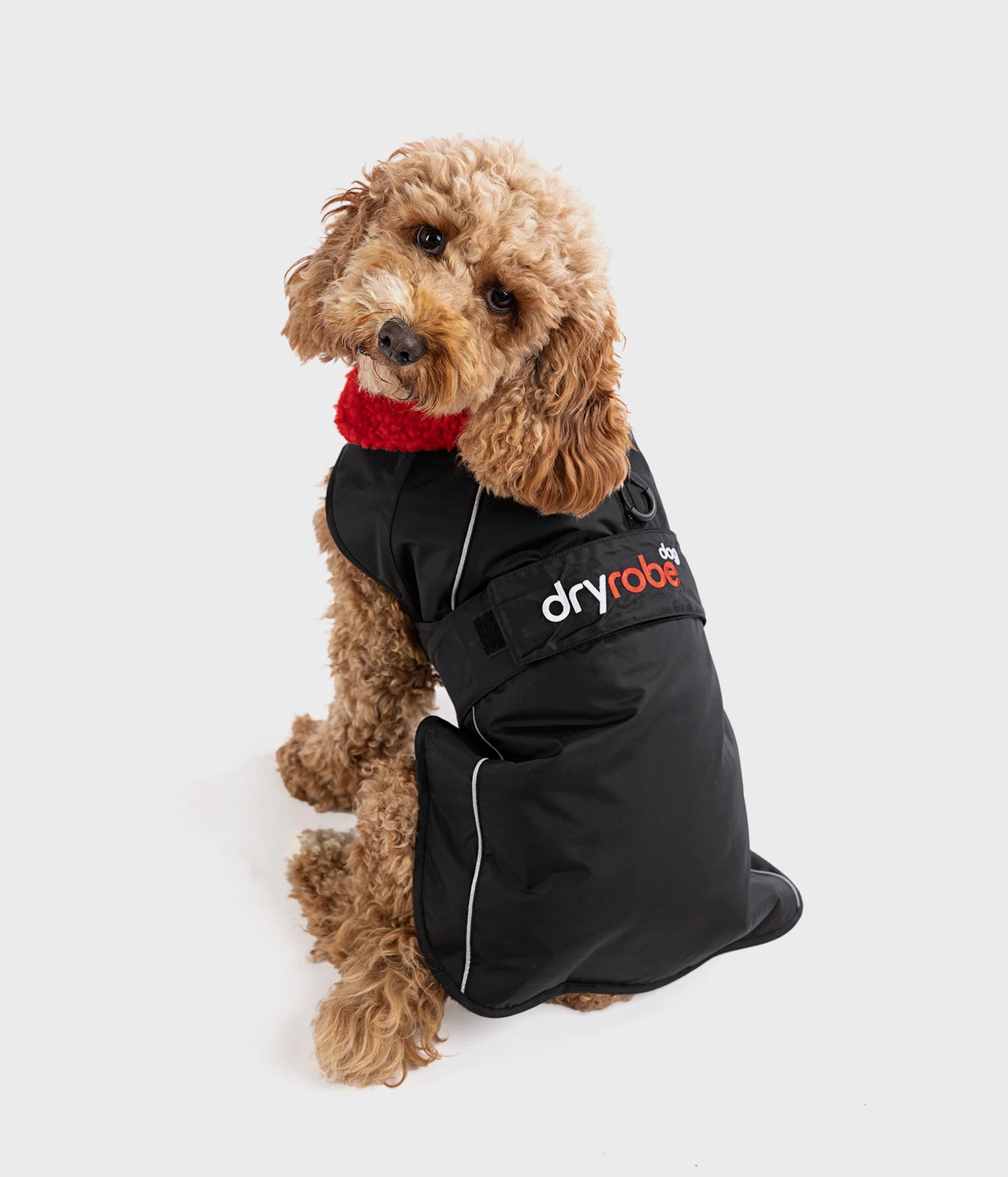 Small Dog Dryrobe Jacket