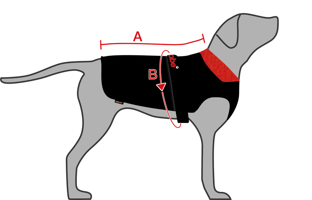 Small Dog Dryrobe Jacket