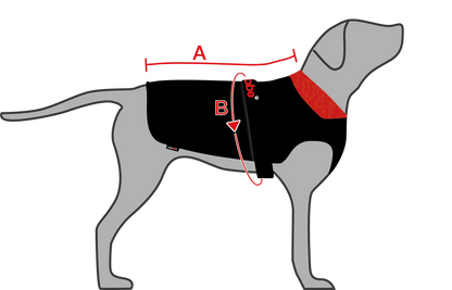 Small Dog Dryrobe Jacket